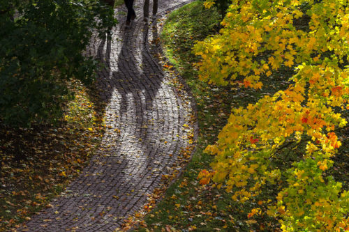 October Foliage and Shadows of Three Persons  Approaching on a Cobblestone Path